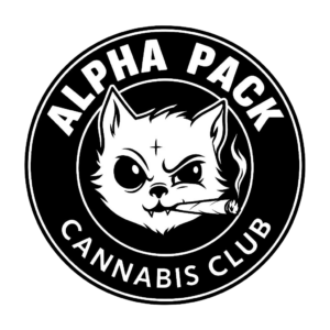 WhatsApp Image 2026-01-18 at 08.41.58 (1) copy